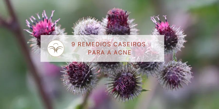 9 remédios caseiros para acne
